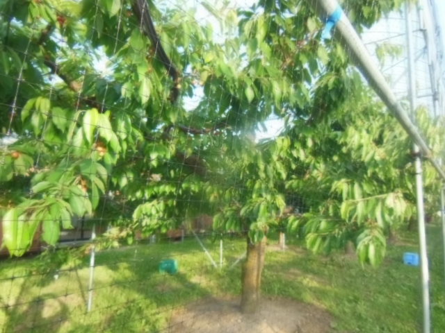 DSCN2985