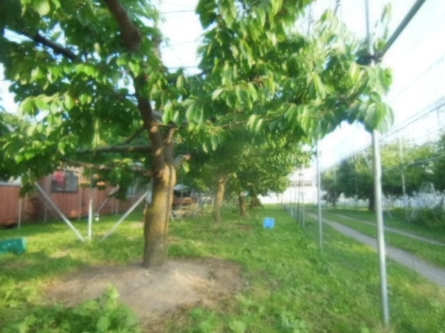 DSCN2986