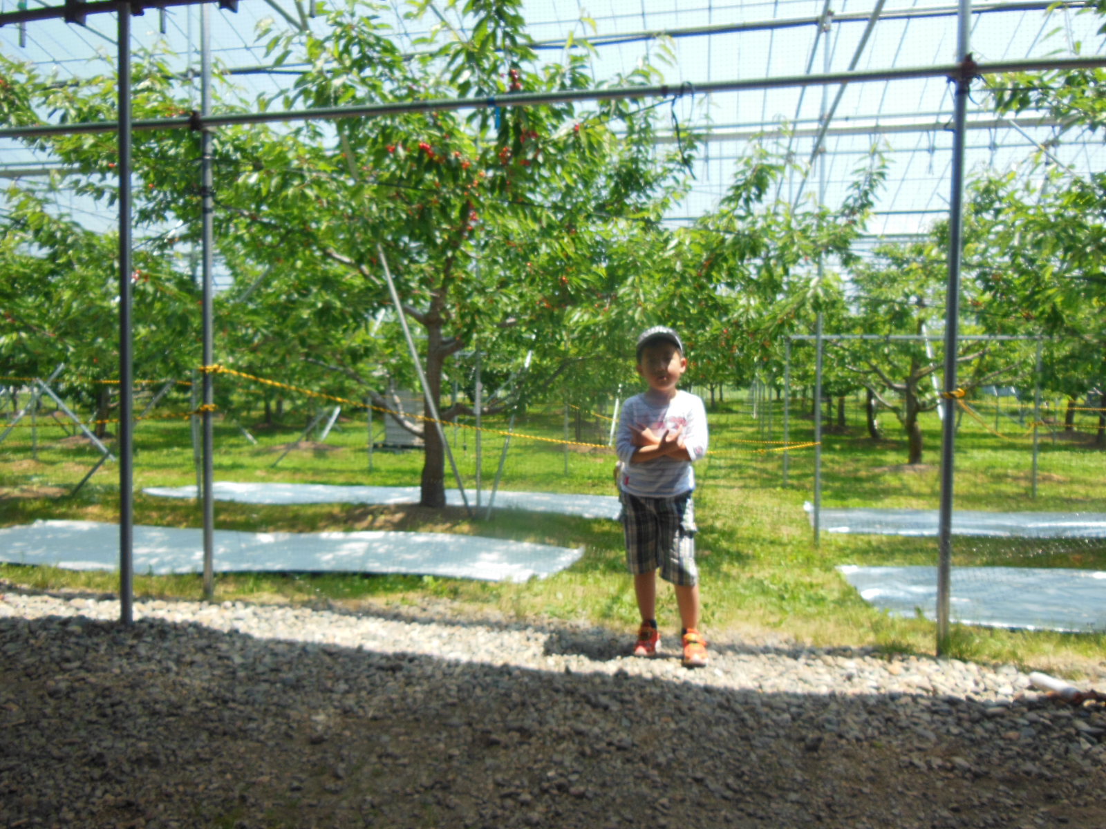 DSCN3012