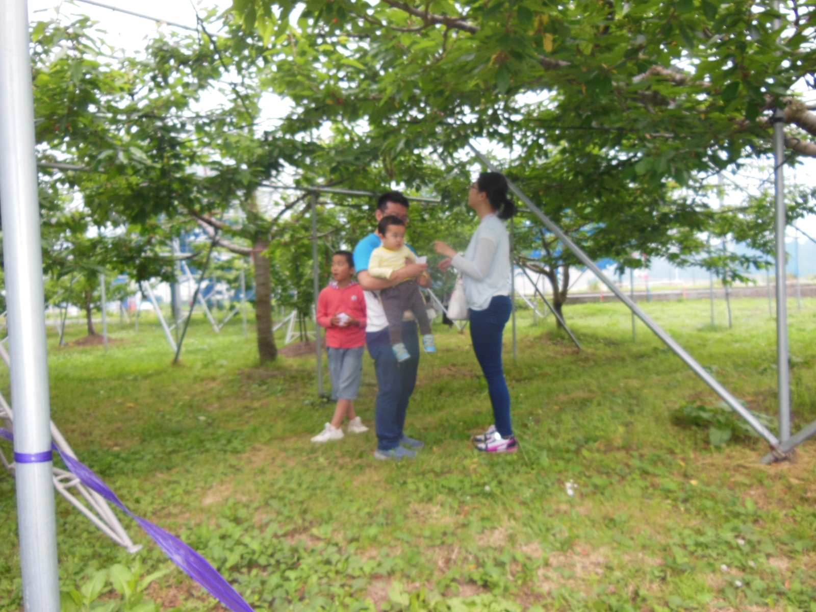 DSCN3023