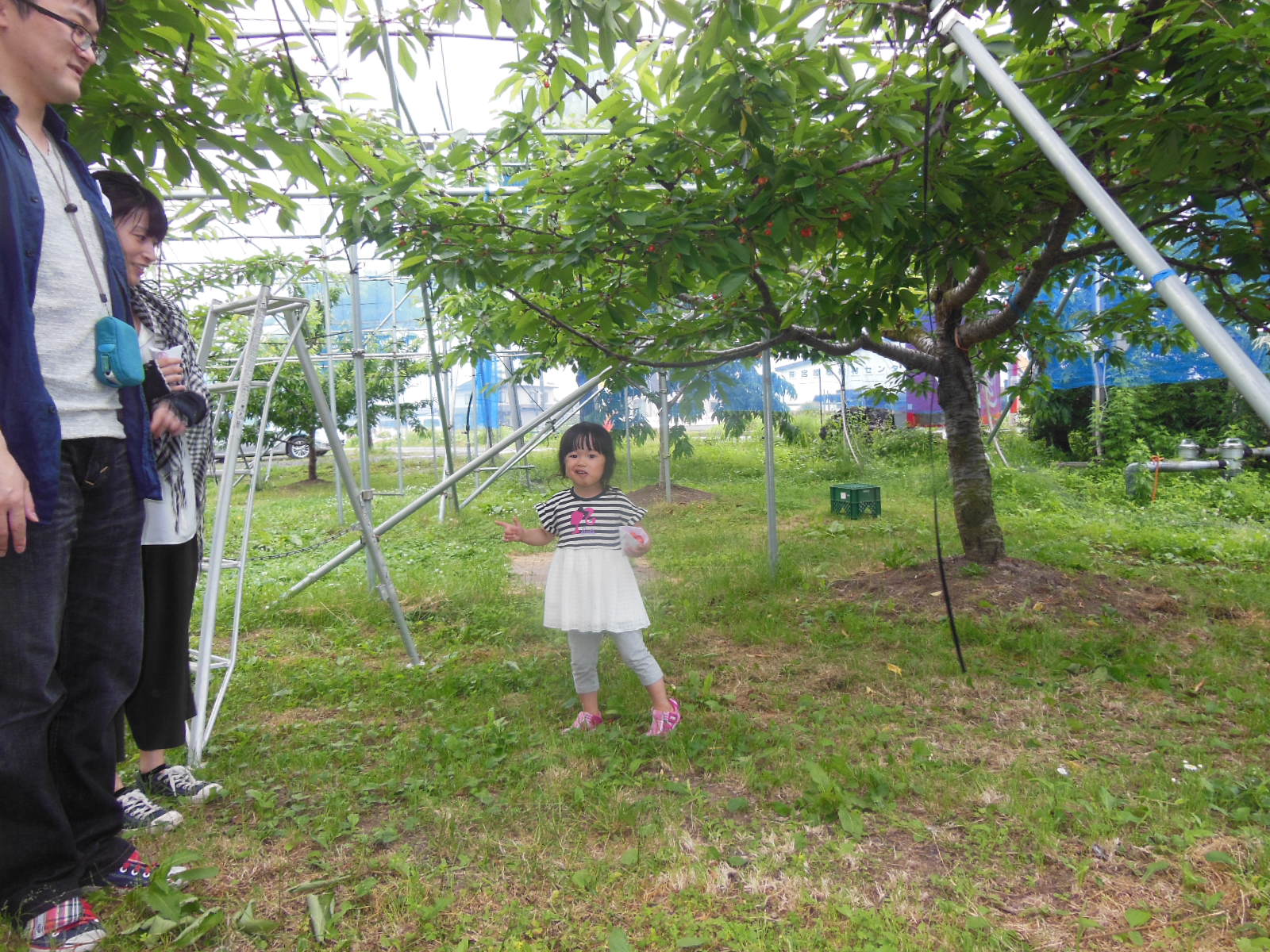 DSCN3025
