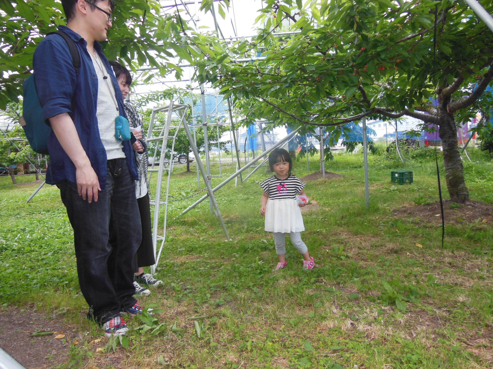DSCN3026