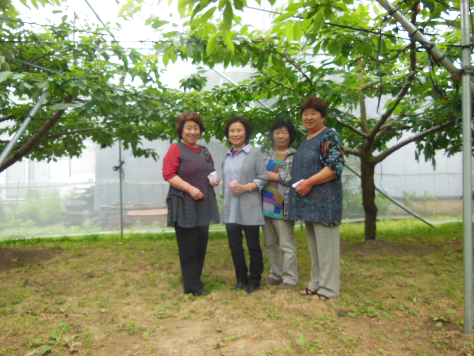 DSCN3041