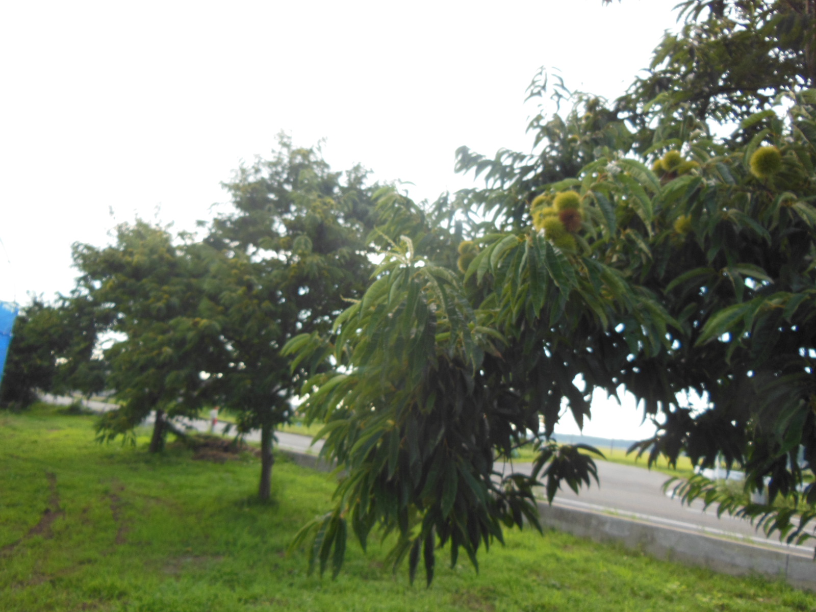 DSCN3194