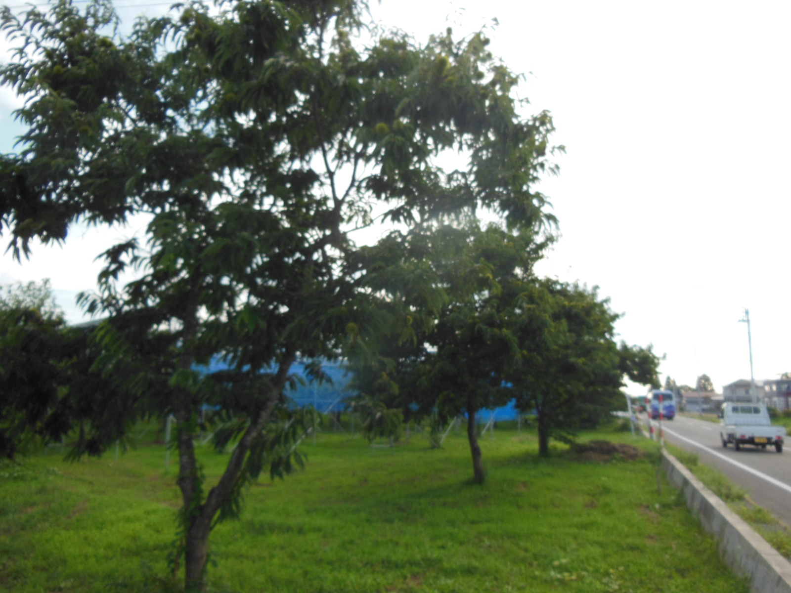DSCN3195