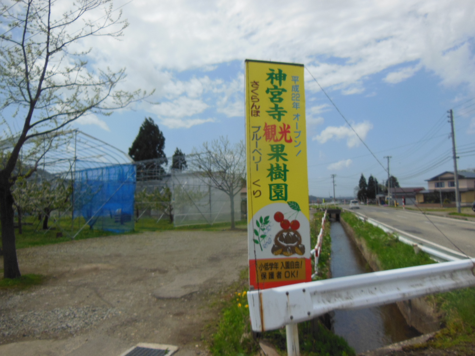 DSCN3785