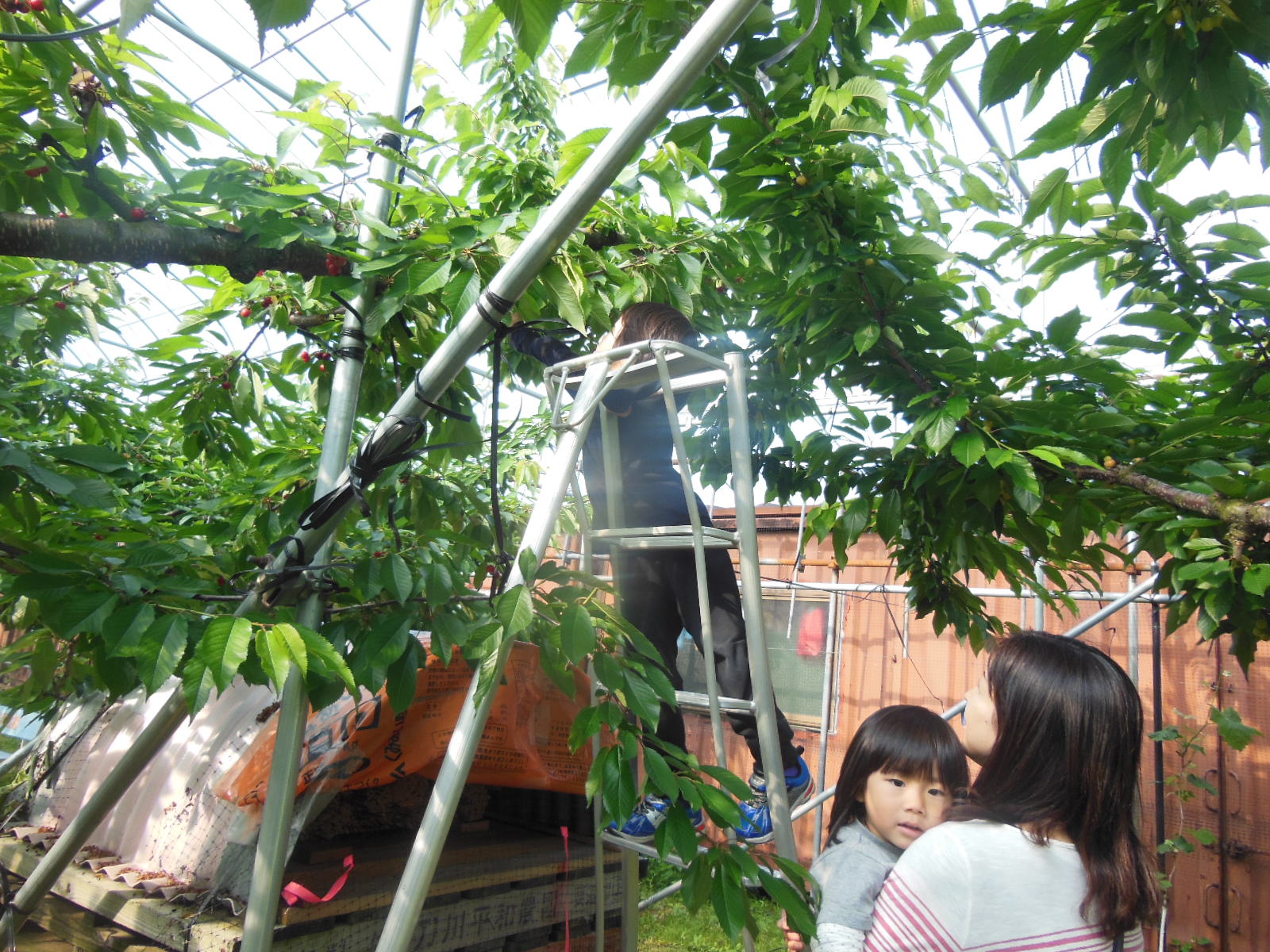 DSCN3934