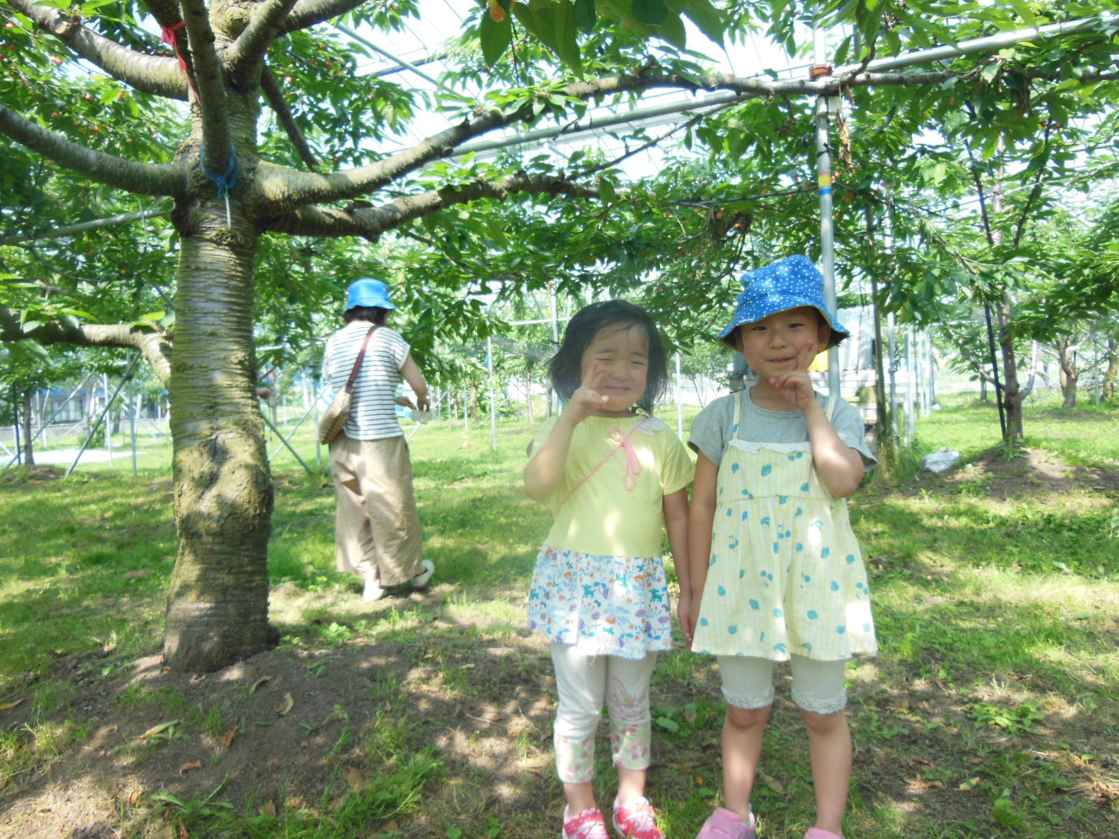 DSCN4008