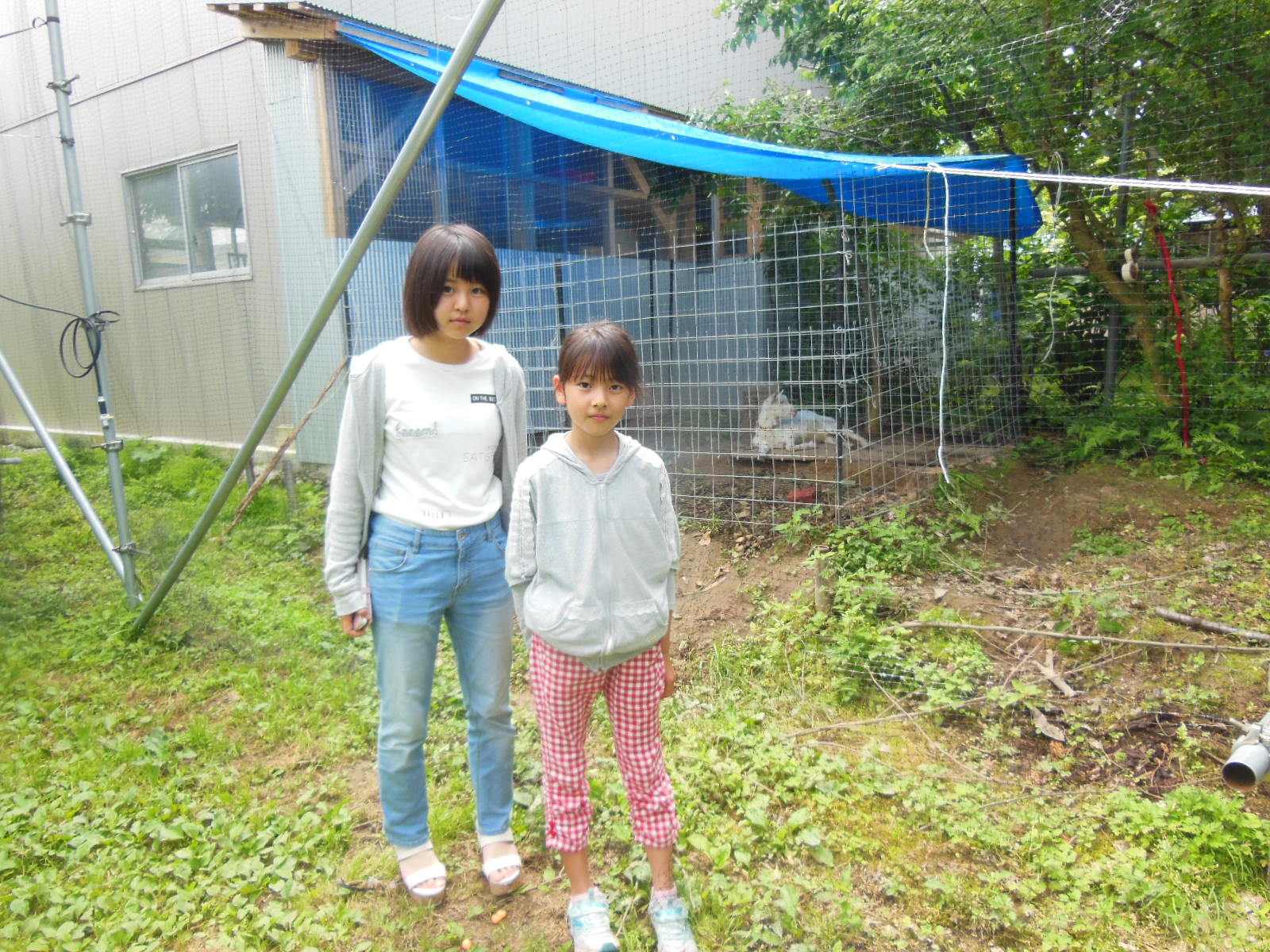 DSCN4012