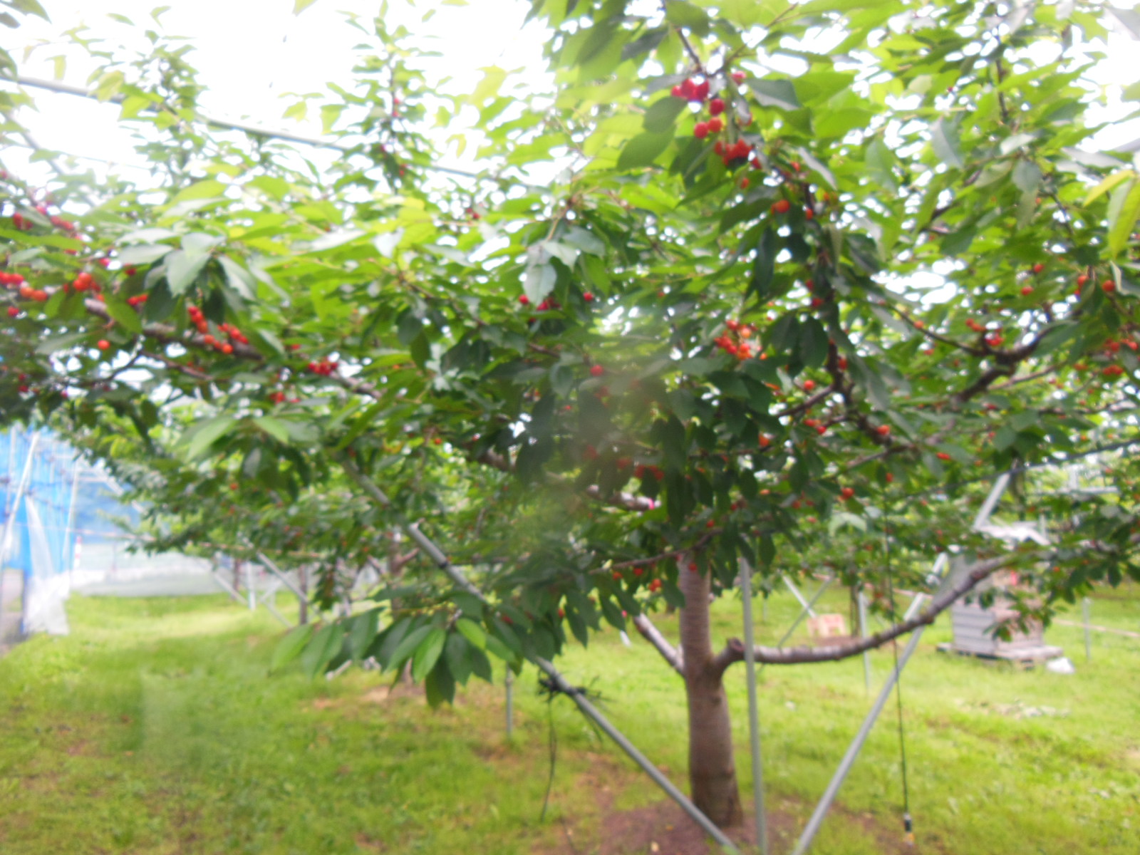 DSCN4040