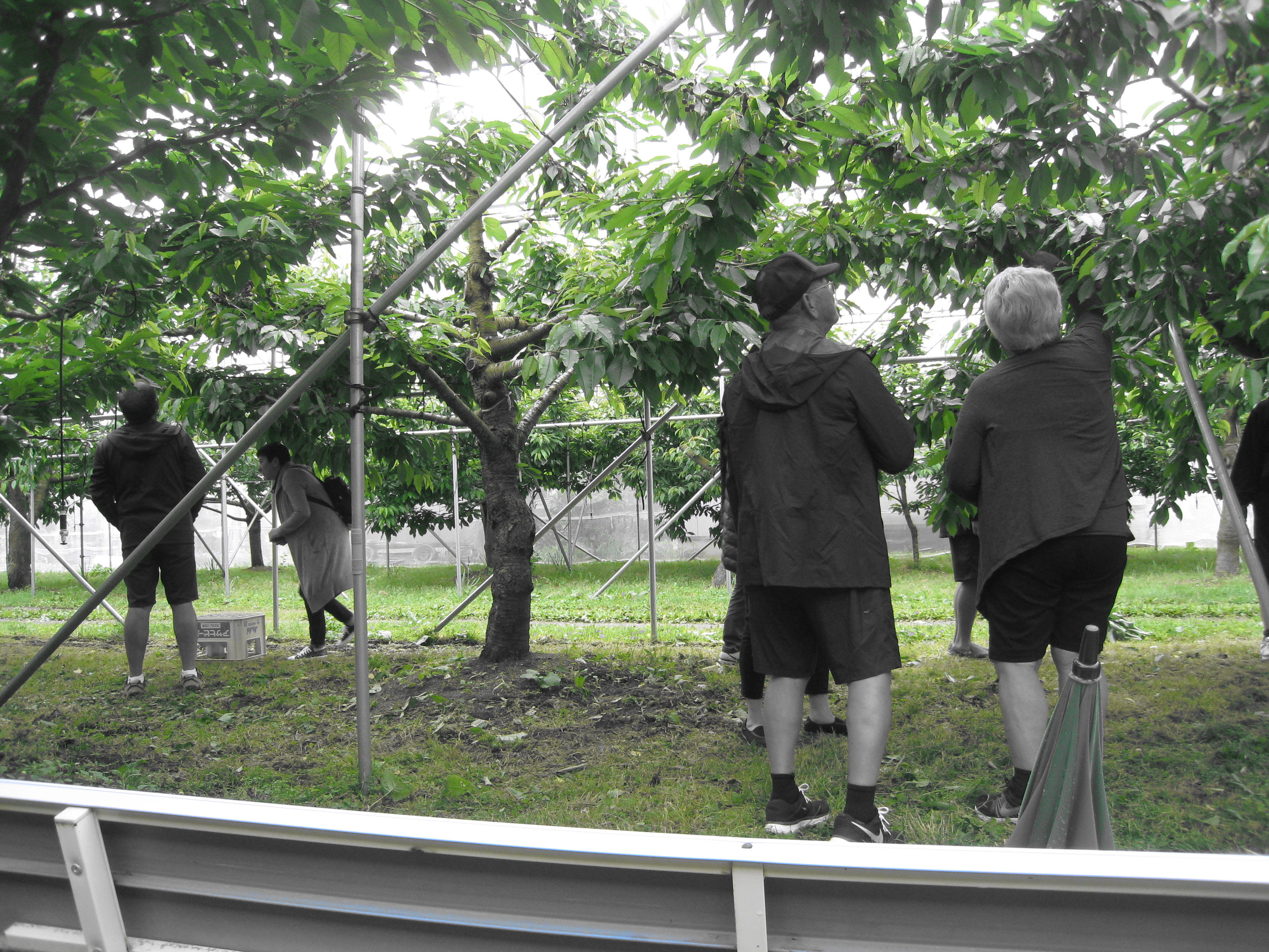 IMG_0436