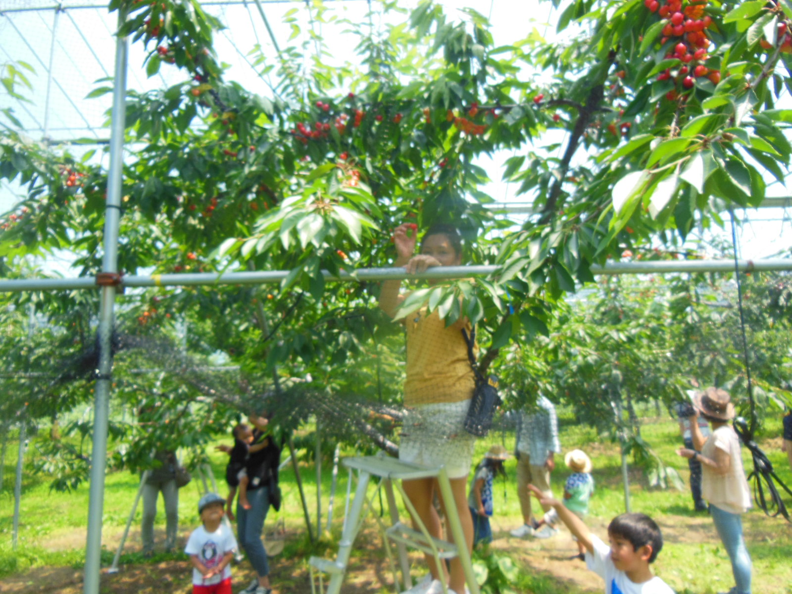 DSCN4093