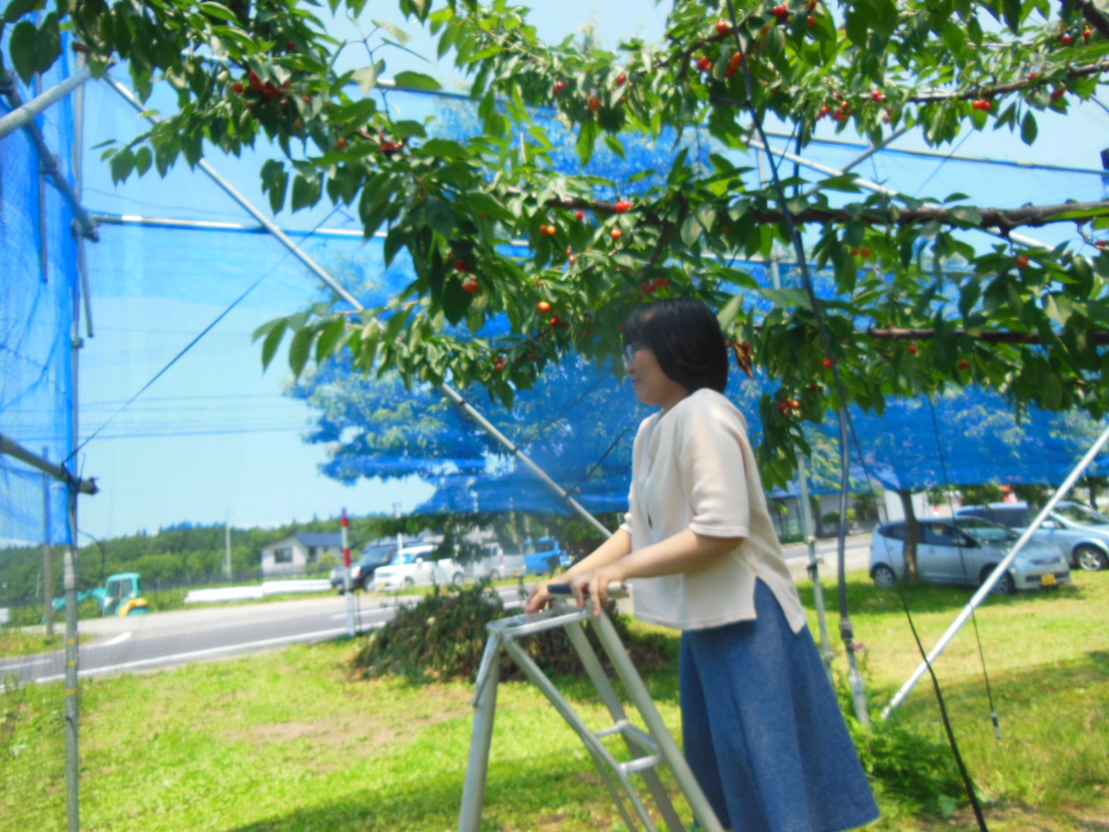 DSCN4099