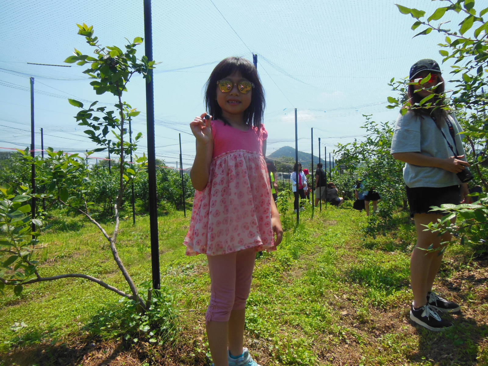 DSCN4108