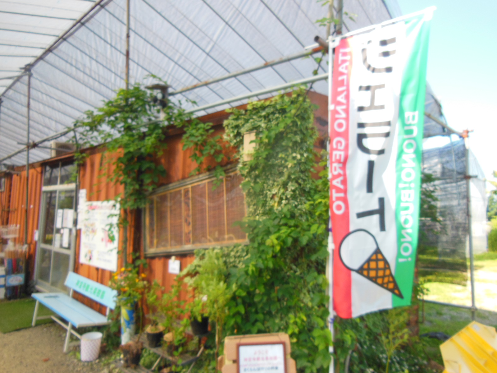 DSCN4116