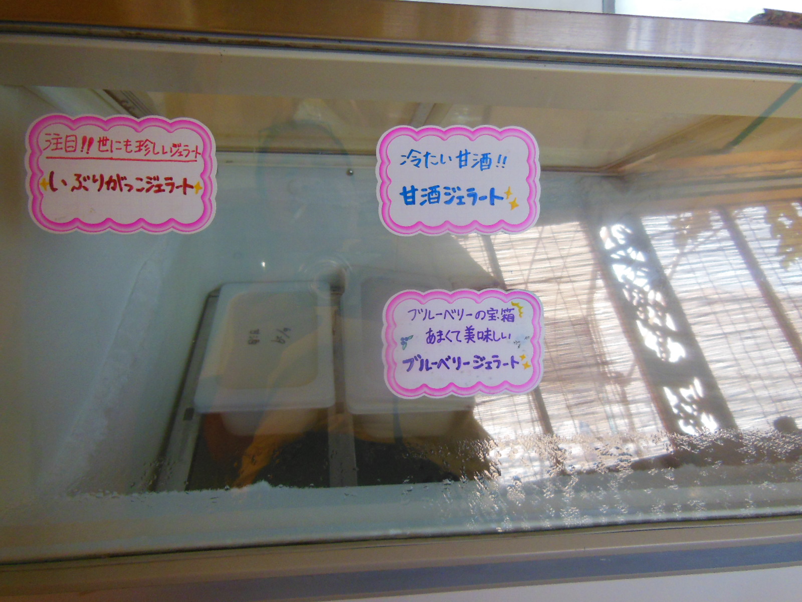 DSCN4121