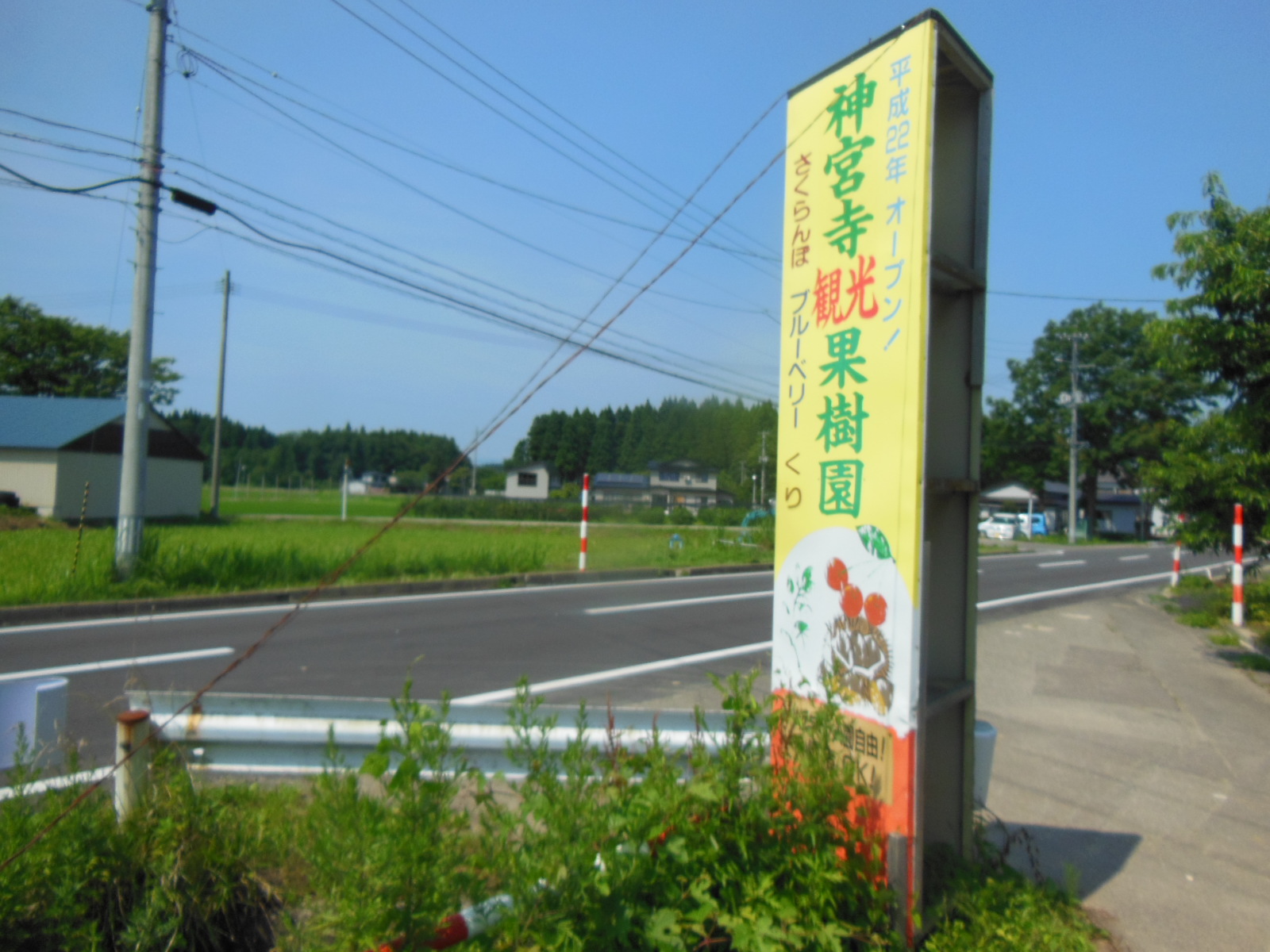 DSCN4156