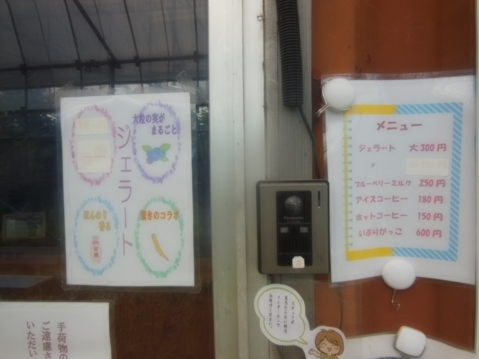 DSCN4218