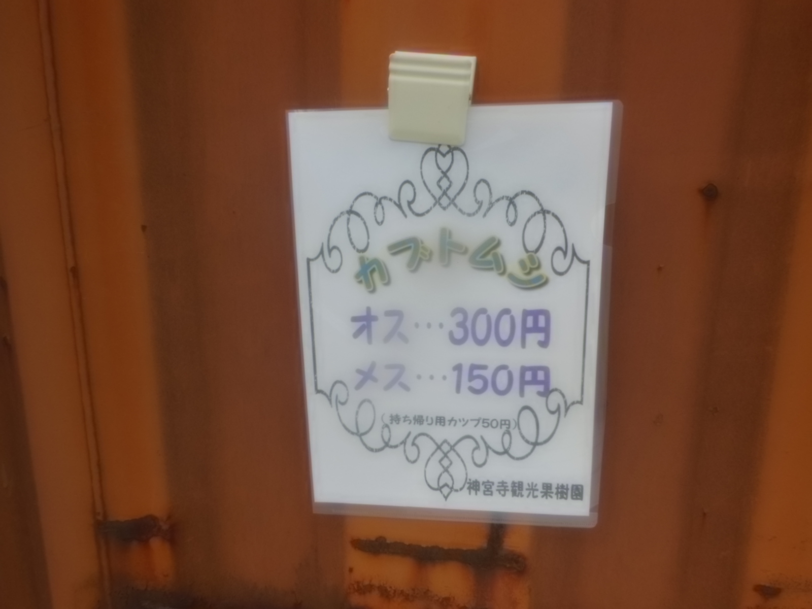 DSCN4219